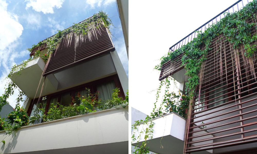 Trồng cây xanh giúp chống nóng cho căn nhà hiệu quả