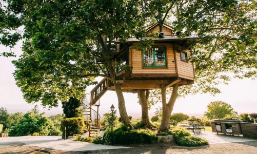 Tree House – Tìm hiểu xu hướng thiết kế nhà trên cây vô cùng độc đáo