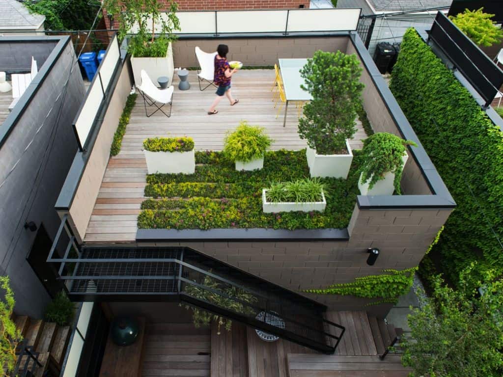 Thiết kế vườn cây xanh trên sân thượng